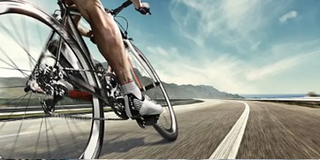 The Mountain Bike Adventure